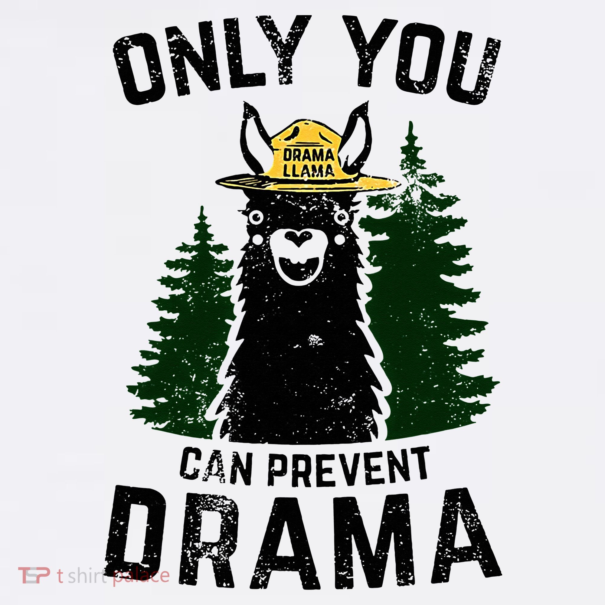 Funny Drama Llama Only You Can Prevent Drama Sarcastic Lover Women's Hoodie