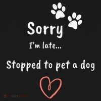Funny Dog Lover Sorry I'm Late Stopped To Pet A Dog Women's Hoodie thumb 2