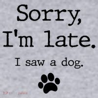 Funny Dog Lover Gift Sorry I'm Late I Saw A Dog Gift Women's Racerback Cropped Tank thumb 2