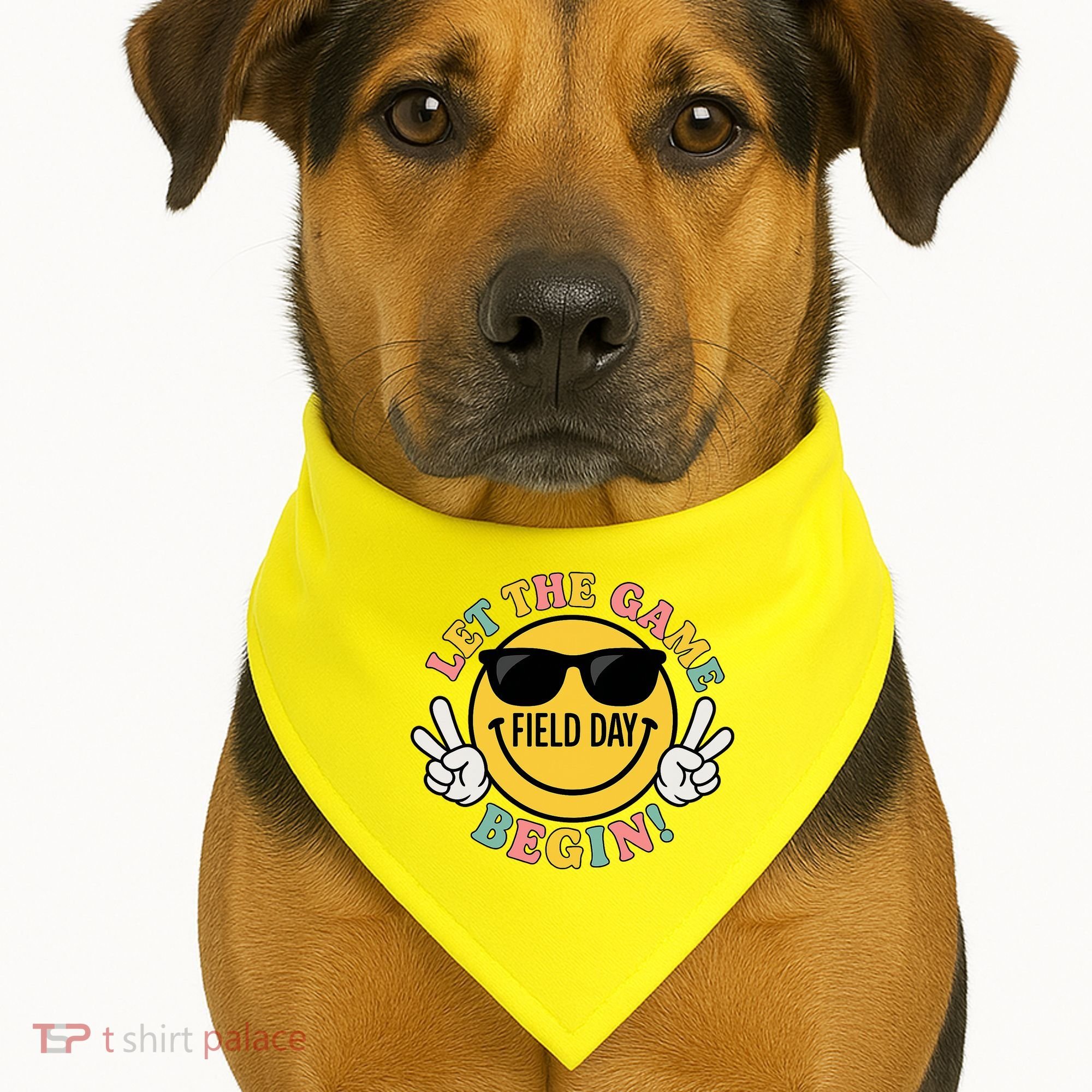 Field Day Let The Games Begin USA-Made Doggie Bandana