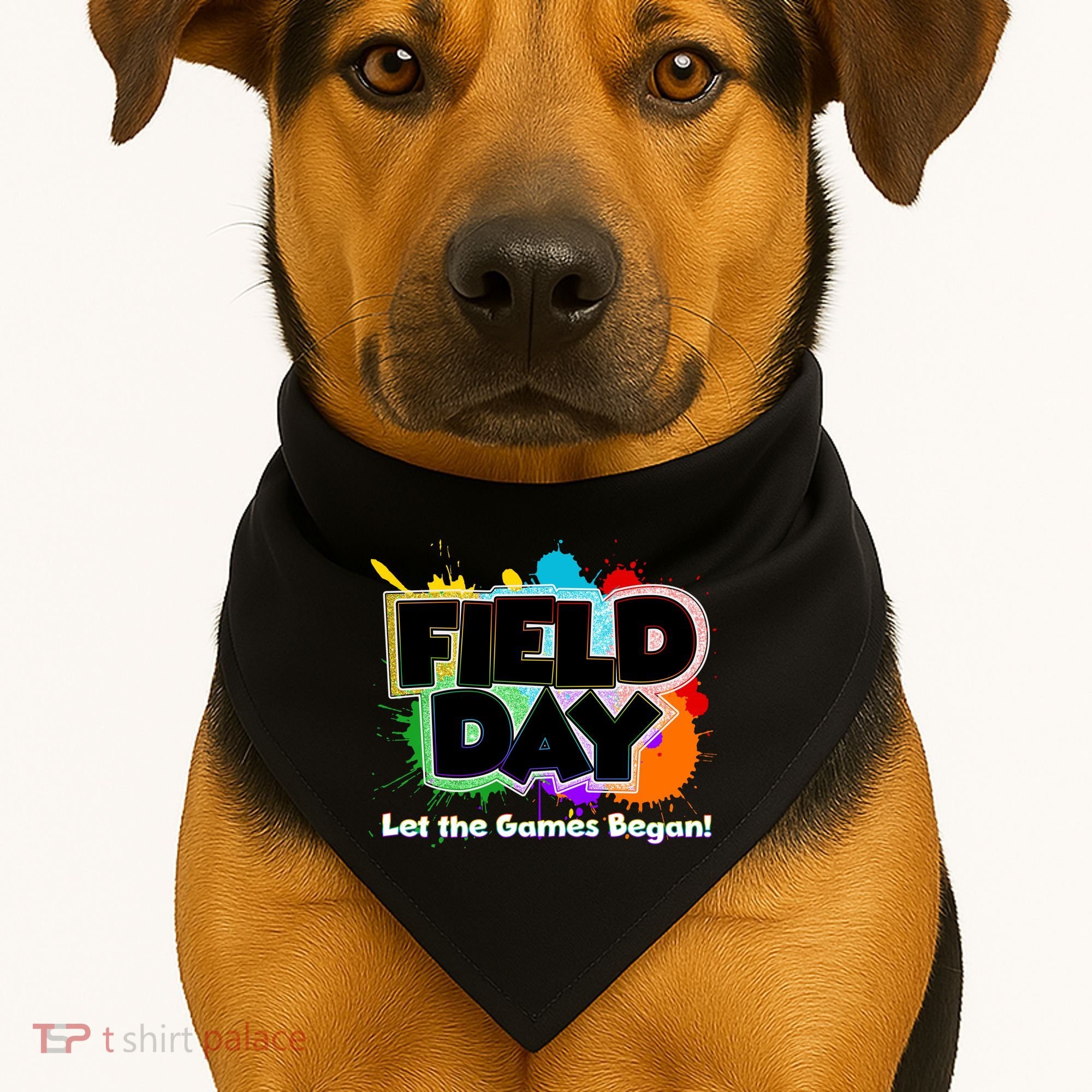 Field Day Let The Game Begin USA-Made Doggie Bandana