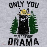 Funny Drama Llama Only You Can Prevent Drama Sarcastic Lover Women's Sweatshirt thumb 2