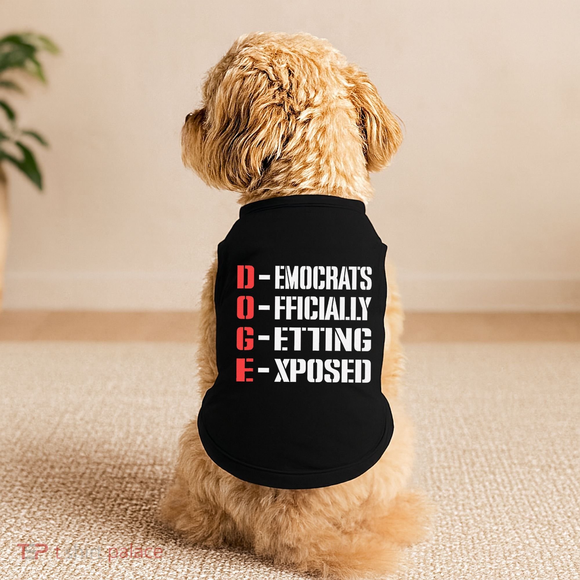 Funny Doge Meaning Government Corruption Exposed Doggie Tank