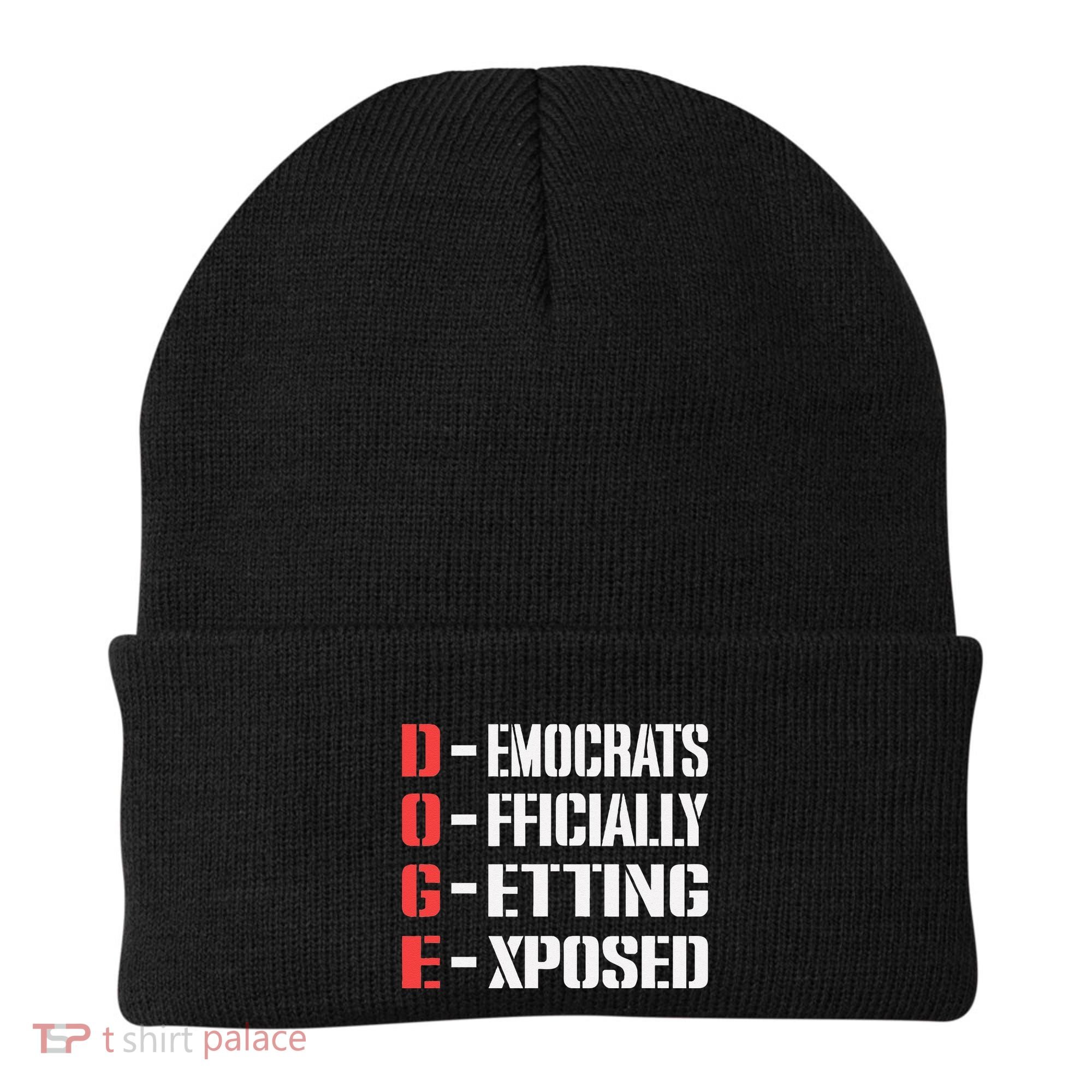 Funny Doge Meaning Government Corruption Exposed Beanie