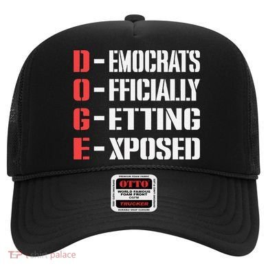 Funny Doge Meaning Government Corruption Exposed Hat