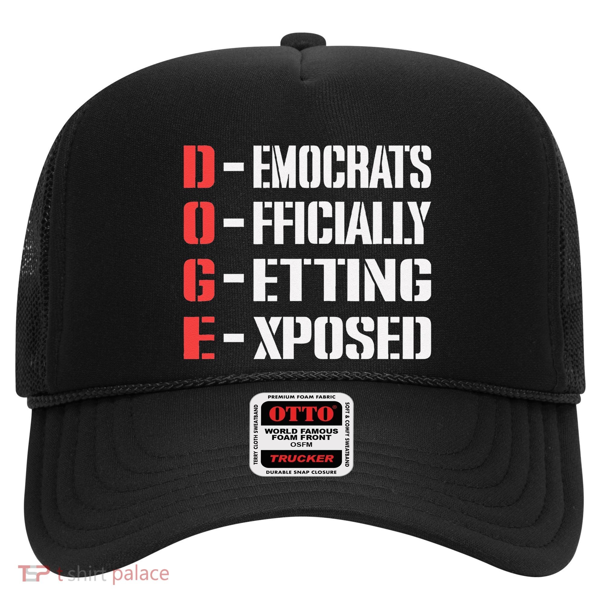 Funny Doge Meaning Government Corruption Exposed Hat