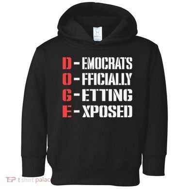 Funny Doge Meaning Government Corruption Exposed Toddler Hoodie