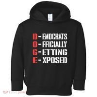 Funny Doge Meaning Government Corruption Exposed Toddler Hoodie thumb 0