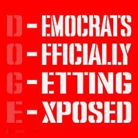 Funny Doge Meaning Government Corruption Exposed Santa Hat thumb 1