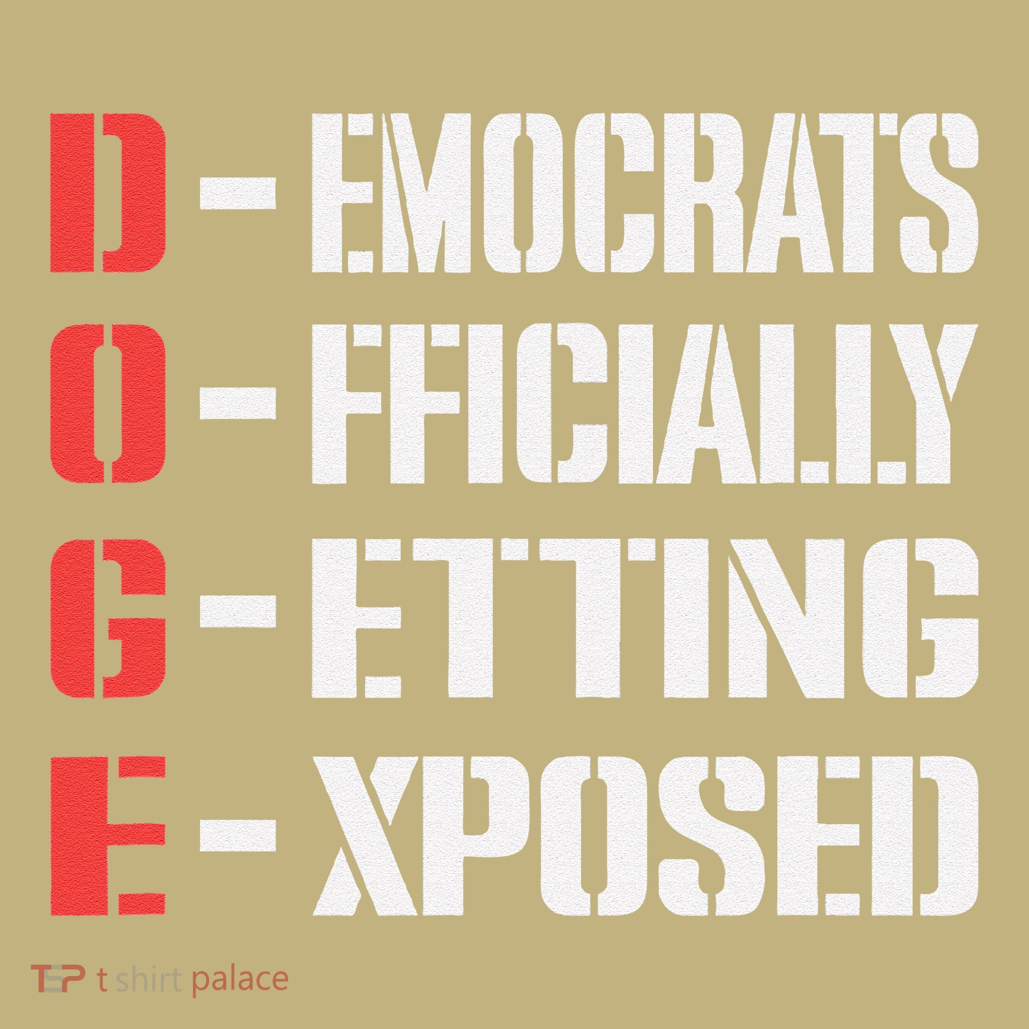 Funny Doge Meaning Government Corruption Exposed Button