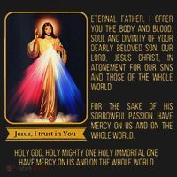 Funny Divine Mercy Jesus Image Chaplet Novena Prayer Catholic Apron thumb 3