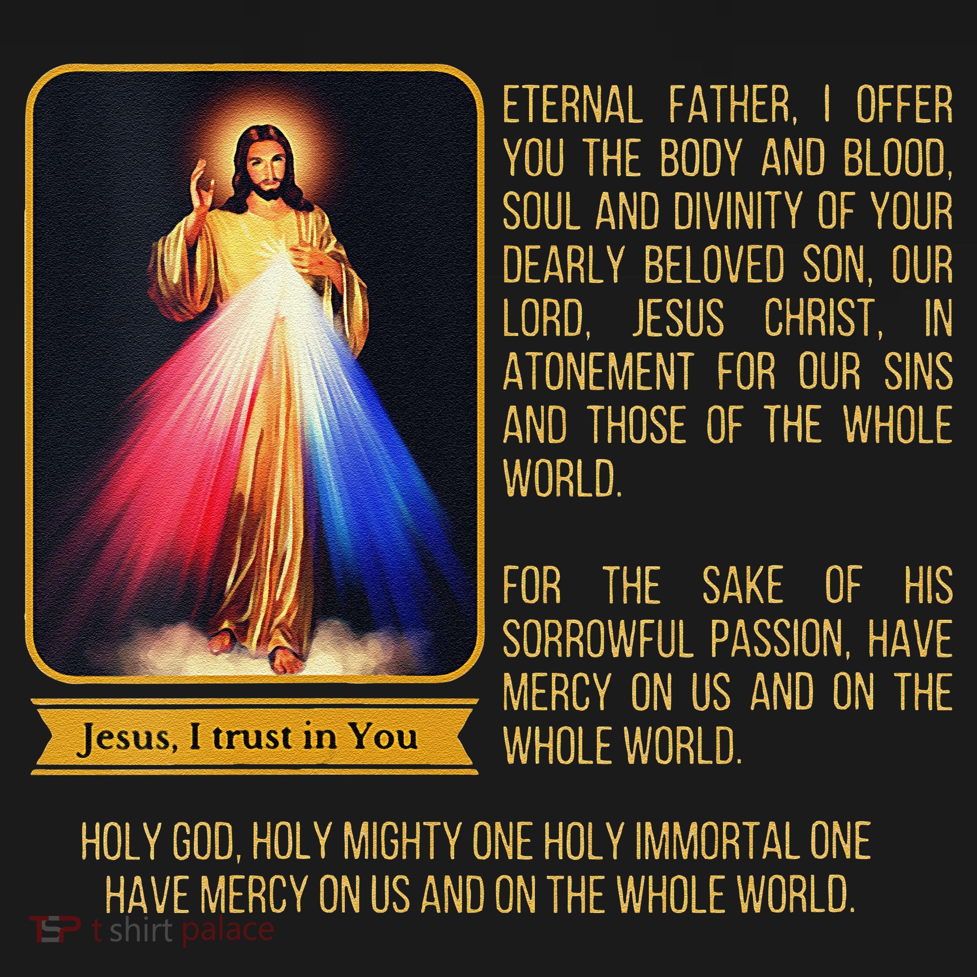 Funny Divine Mercy Jesus Image Chaplet Novena Prayer Catholic Apron