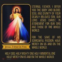 Funny Divine Mercy Jesus Image Chaplet Novena Prayer Catholic Beanie thumb 2