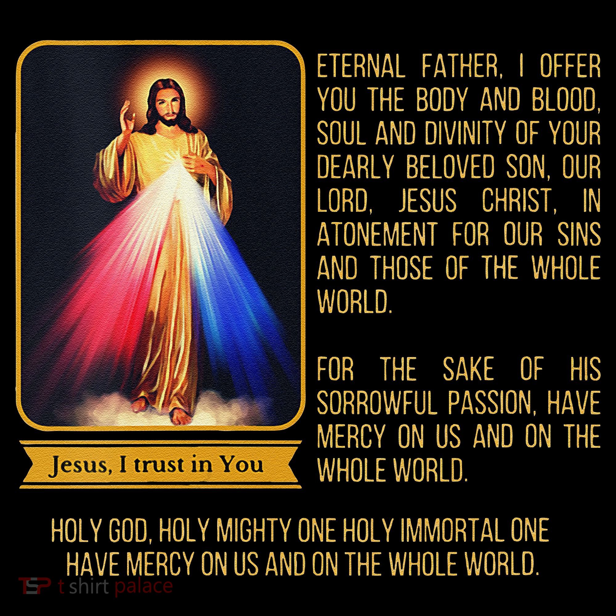 Funny Divine Mercy Jesus Image Chaplet Novena Prayer Catholic Women's Hoodie
