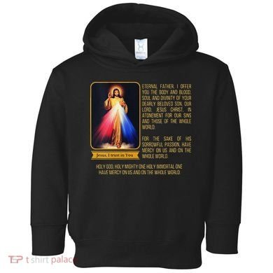 Funny Divine Mercy Jesus Image Chaplet Novena Prayer Catholic Toddler Hoodie