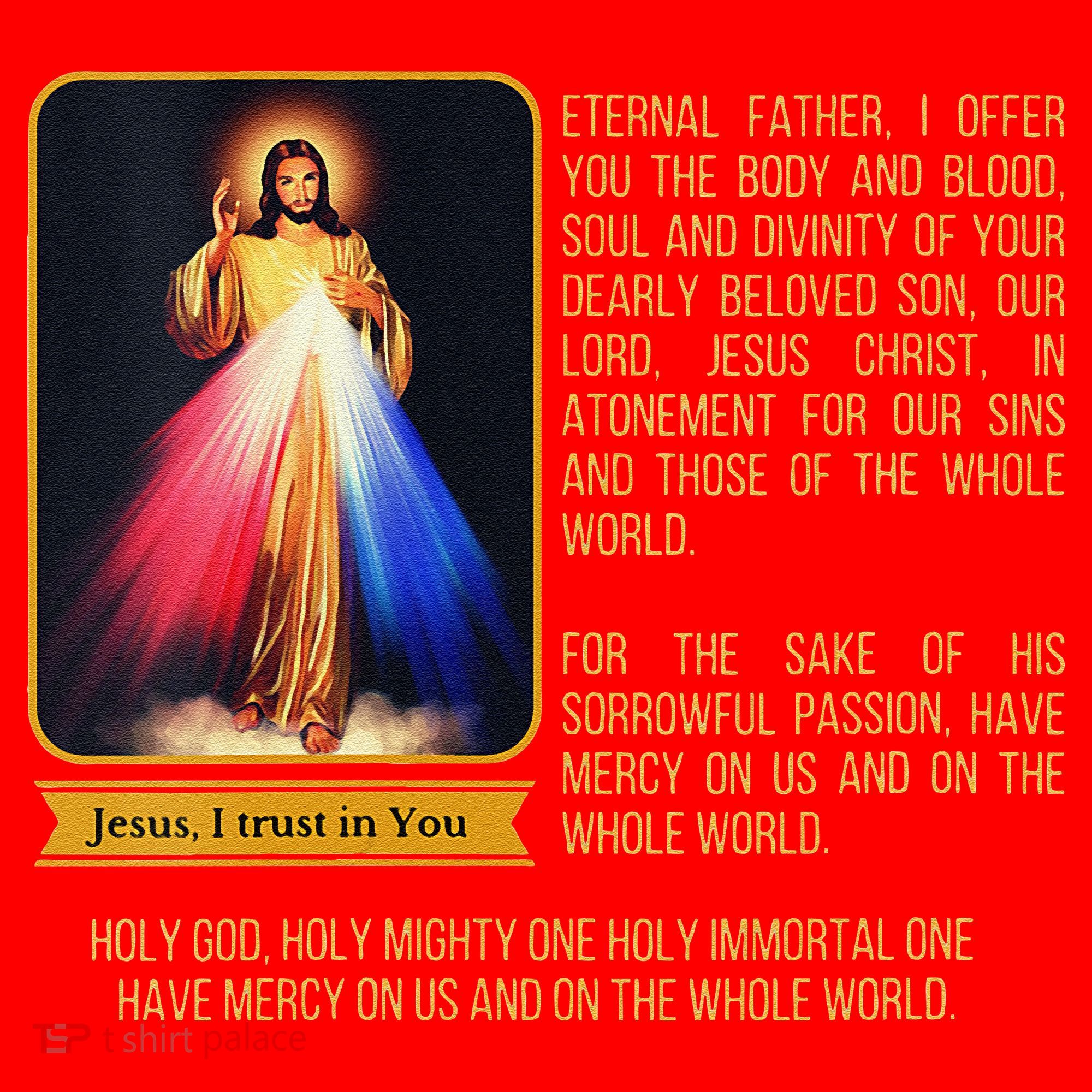Funny Divine Mercy Jesus Image Chaplet Novena Prayer Catholic Santa Hat
