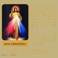 Funny Divine Mercy Jesus Image Chaplet Novena Prayer Catholic Sweatshirt thumb 2