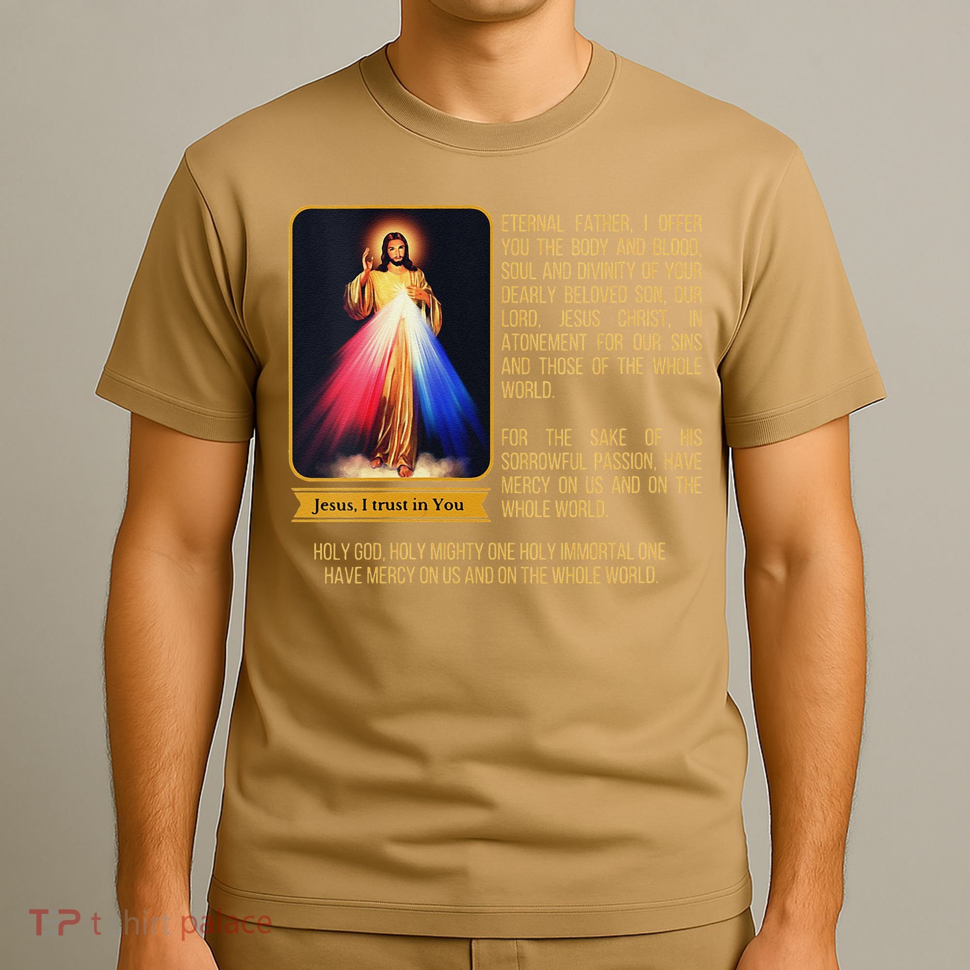 Funny Divine Mercy Jesus Image Chaplet Novena Prayer Catholic T-Shirt