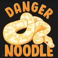 Funny Danger Noodle Snake Boy Snakes Meme Ball Python T-Shirt thumb 7