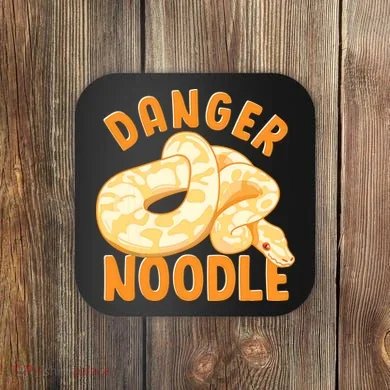 Funny Danger Noodle Snake Boy Snakes Meme Ball Python Coaster