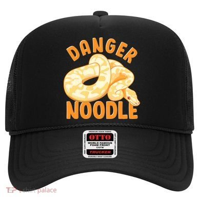 Funny Danger Noodle Snake Boy Snakes Meme Ball Python Hat