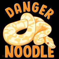 Funny Danger Noodle Snake Boy Snakes Meme Ball Python Women's T-Shirt thumb 6