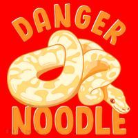 Funny Danger Noodle Snake Boy Snakes Meme Ball Python Santa Hat thumb 1