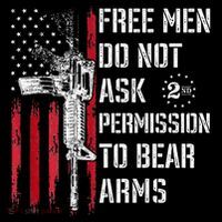 Free Do Not Ask Permission To Bear Arms Ornament thumb 1