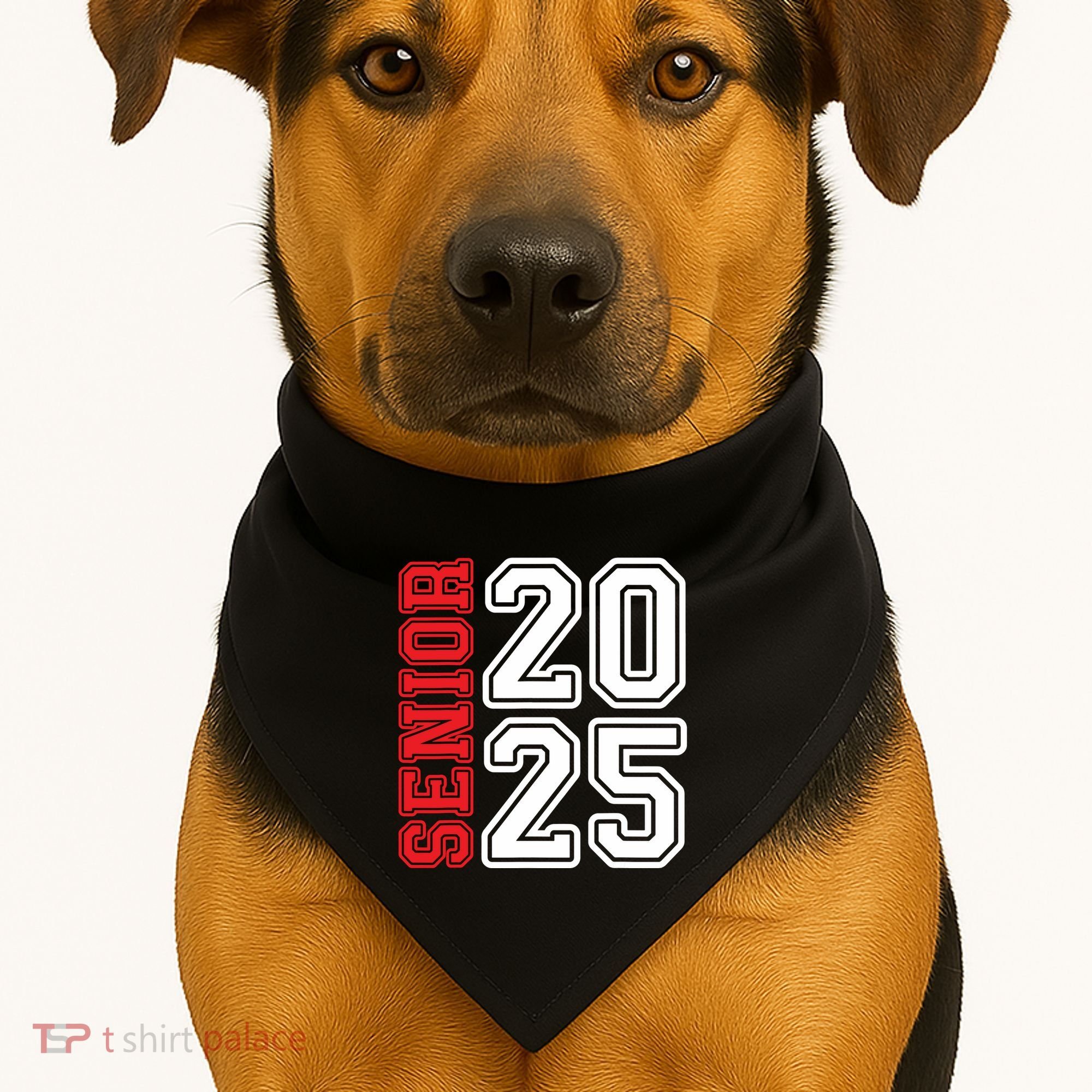 First Day Of School USA-Made Doggie Bandana