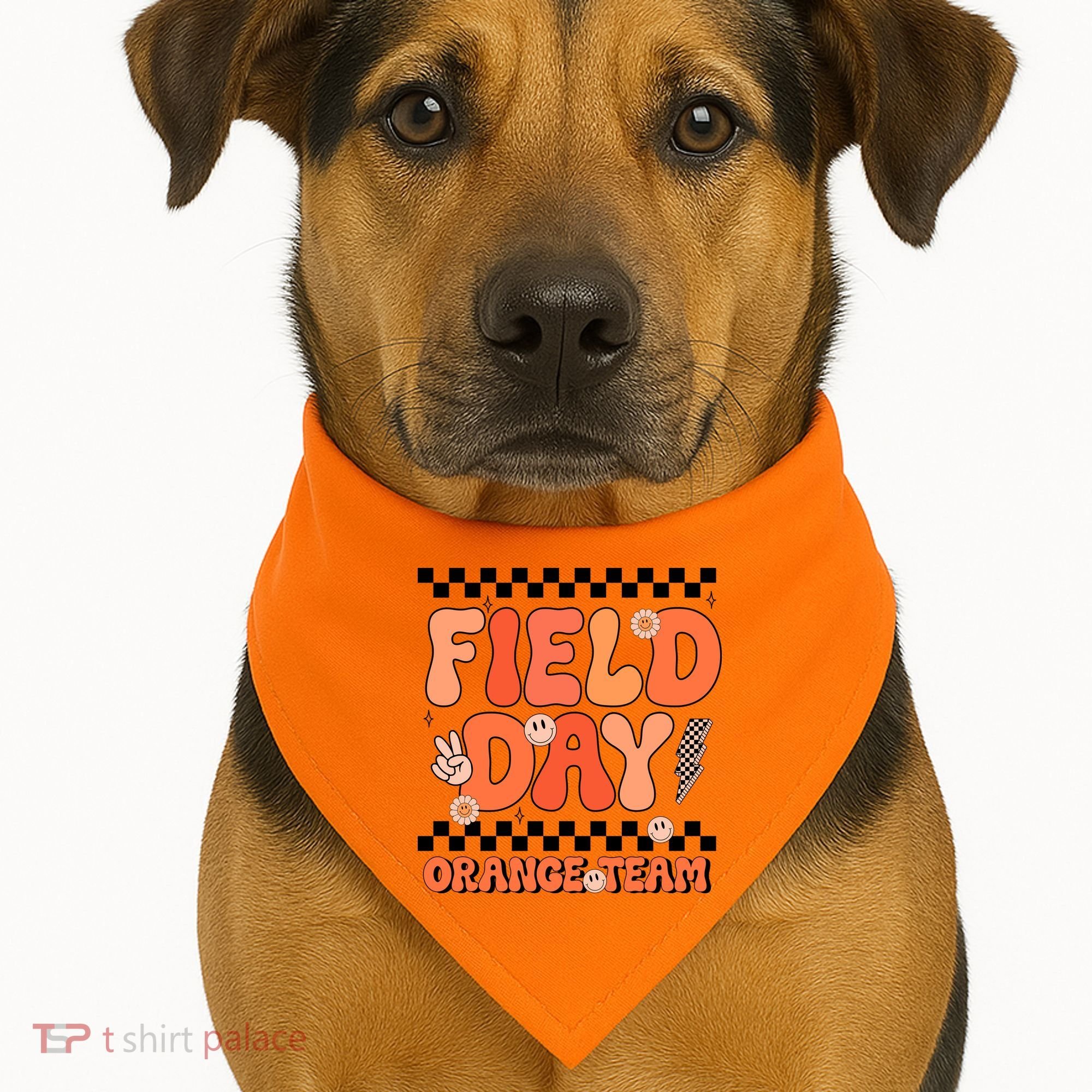 Field Day Orange Team Groovy Smile Face Checkered Students USA-Made Doggie Bandana