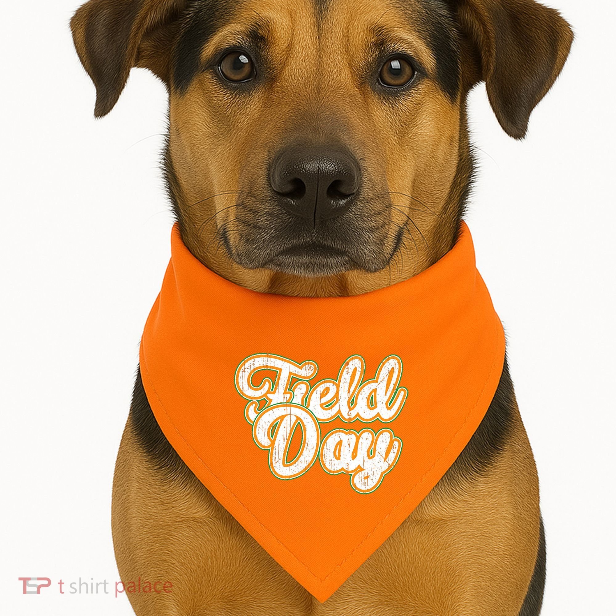 Field Day Retro Orange Field Day Games Adults Teachers USA-Made Doggie Bandana