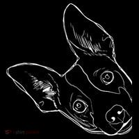Funny Dog Rat Terrier Kids T-Shirt thumb 4