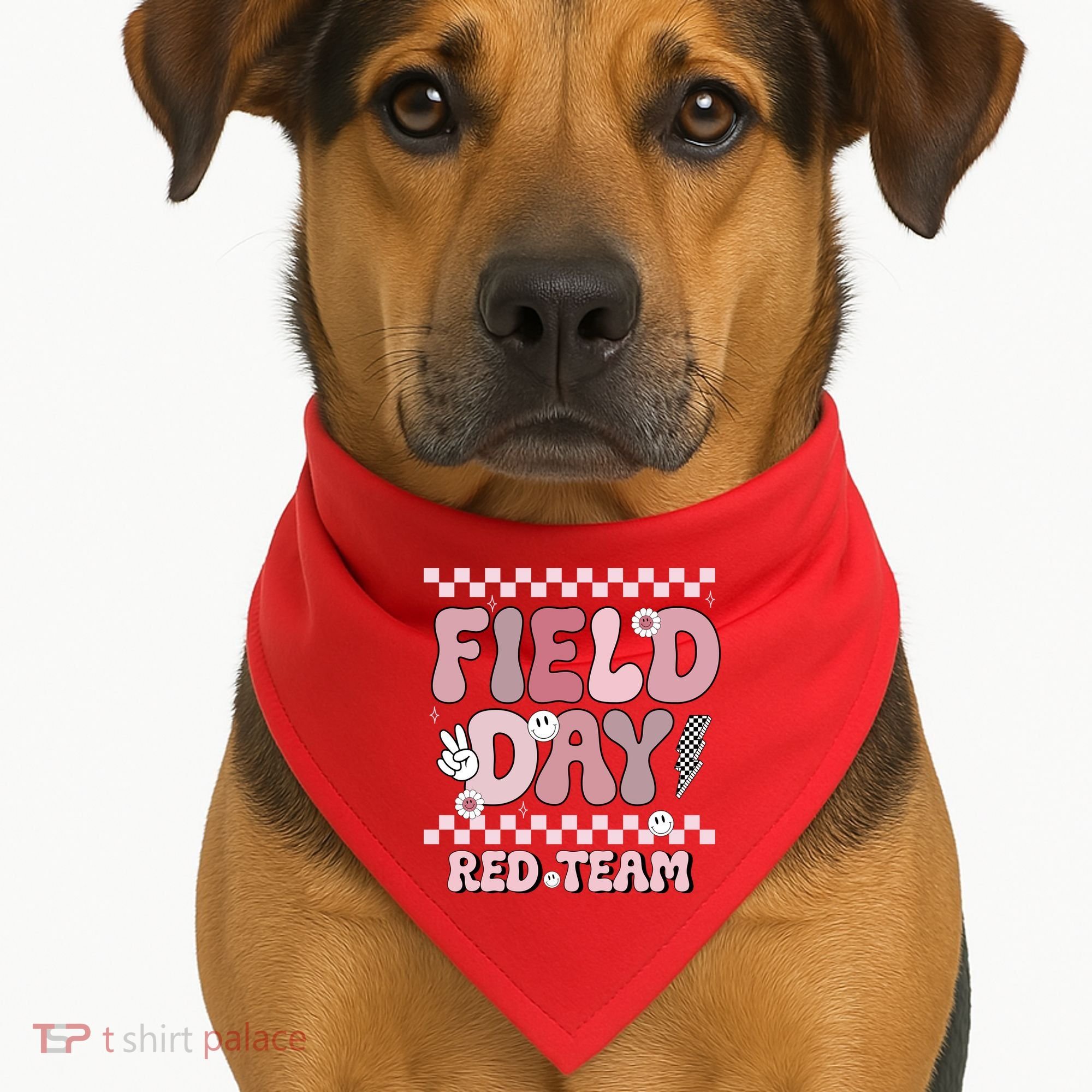 Field Day Red Team Groovy Smile Face Checkered Students USA-Made Doggie Bandana