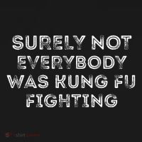 Funny Distressed Surely Not Everybody Was Kung Fu Fighting Women's Hoodie thumb 2