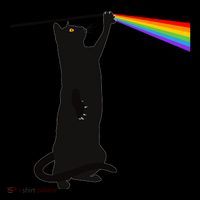 Funny Dark Side Of The Cat Coffee Mug thumb 5