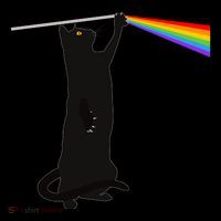 Funny Dark Side Of The Cat Ornament thumb 1