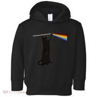 Funny Dark Side Of The Cat Toddler Hoodie thumb 0
