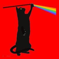 Funny Dark Side Of The Cat Santa Hat thumb 1