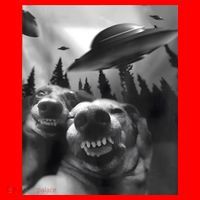Funny Dogs Selfie With UFOs Santa Hat thumb 1