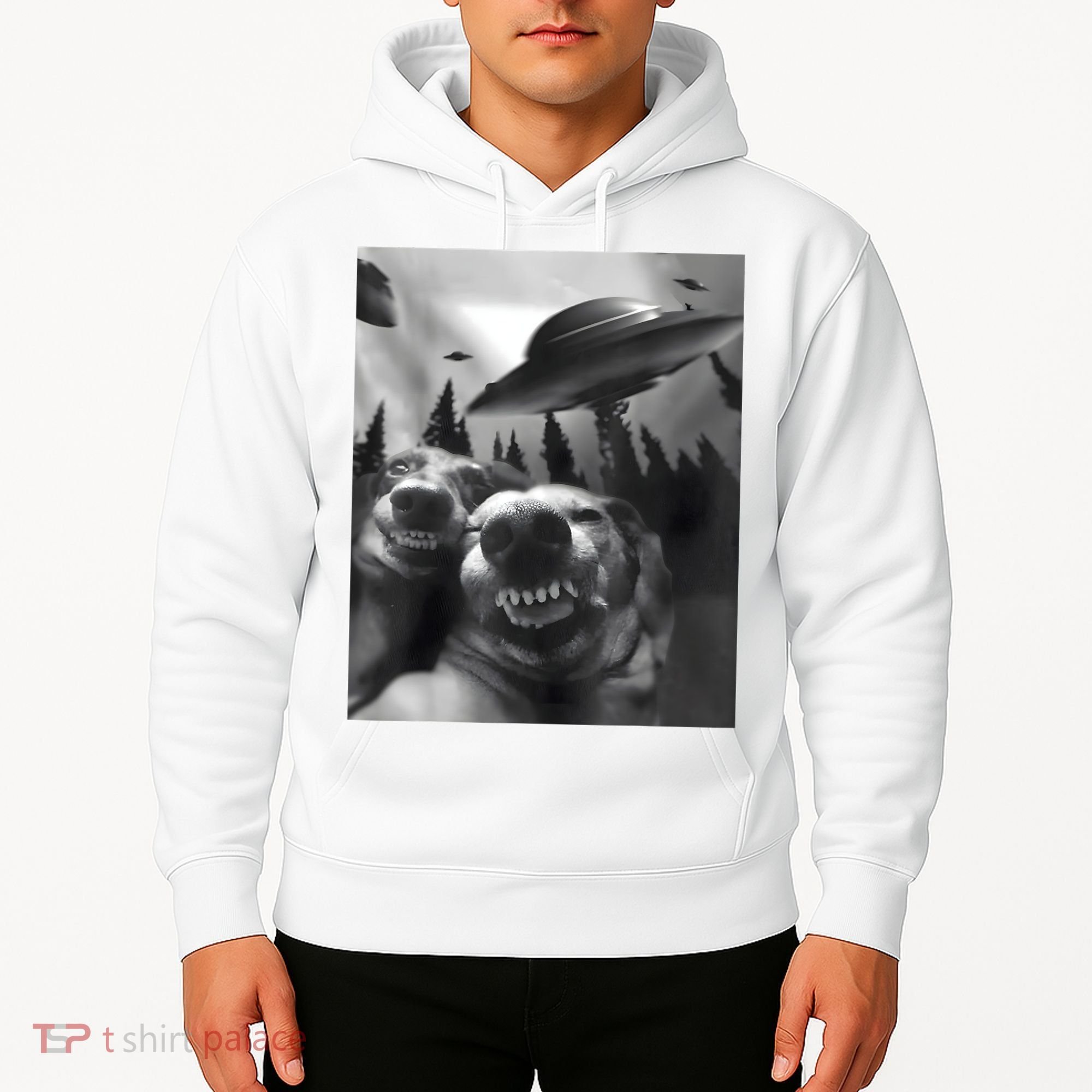 Funny Dogs Selfie With UFOs Hoodie