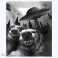 Funny Dogs Selfie With UFOs Long Sleeve Shirt thumb 2