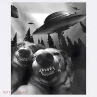 Funny Dogs Selfie With UFOs Mousepad thumb 1