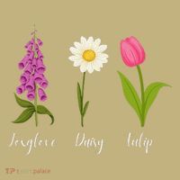 Foxglove Daisy Tulip Cute Flowers Floral Plant Wildflowers T-Shirt thumb 7