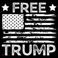 Free Donald Trump Republican Support  Ornament thumb 1