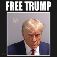Free Donald Trump Mugshot Election Mousepad thumb 1