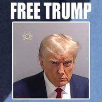 Free Donald Trump Mugshot Election Raglan Baseball Sleeve Shirt thumb 2