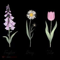 FOXGLOVE DAISY TULIP Floral Nature Apparel for Flower Coffee Mug thumb 5