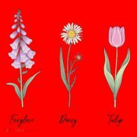 FOXGLOVE DAISY TULIP Floral Nature Apparel for Flower Santa Hat thumb 1