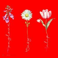 Foxglove Daisy Tulip Flower Foxglove Daisy Tulip Floral Santa Hat thumb 1