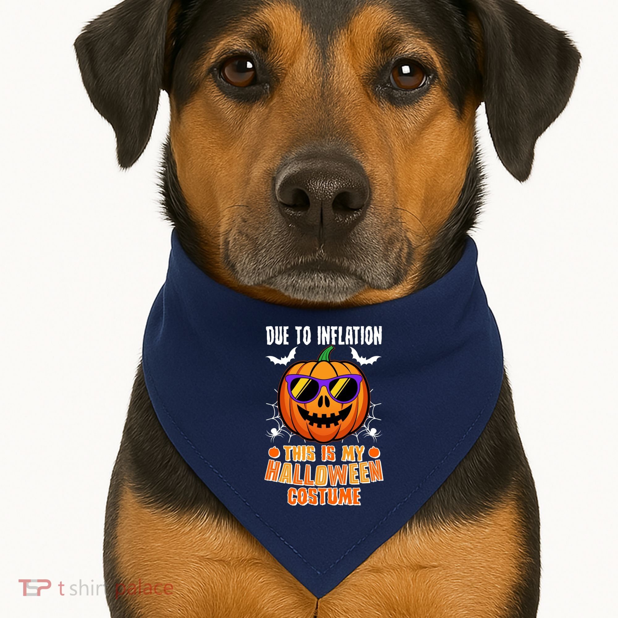 Funny Due To Inflation This Is My Halloween Costume USA-Made Doggie Bandana